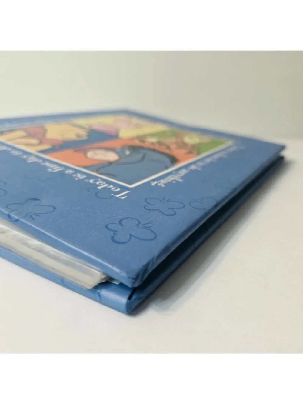 Winnie the Pooh & Friends Tigger Piglet Eeyore Holson Disney Photo Picture Album